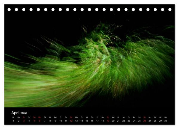 Produktbild: Magischer Wald (Tischkalender 2026 DIN A5 quer), CALVENDO Monatskalender