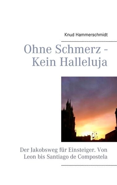 Produktbild: Ohne Schmerz - Kein Halleluja