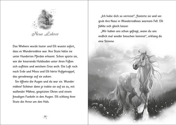 Produktbild: Wunderm&auml;hne (Band 6) - Der Zauber der Wasserpferde