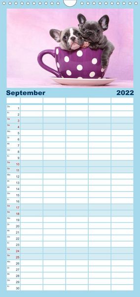 Produktbild: Bullys - Franz&ouml;sische Bulldoggen 2022 - Familienplaner hoch (Wandkalender 2022 , 21 cm x 45 cm, hoch)