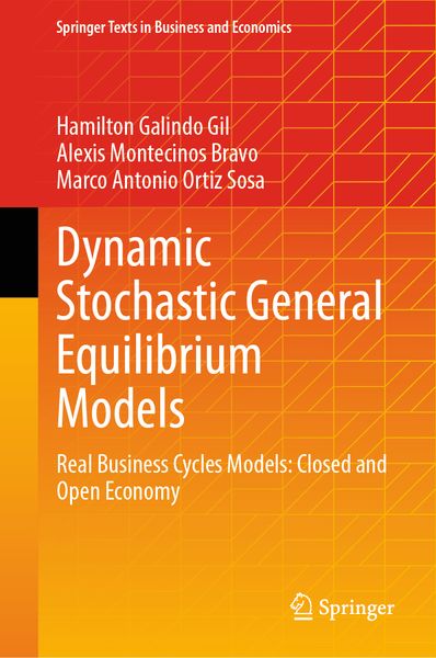 Produktbild: Dynamic Stochastic General Equilibrium Models