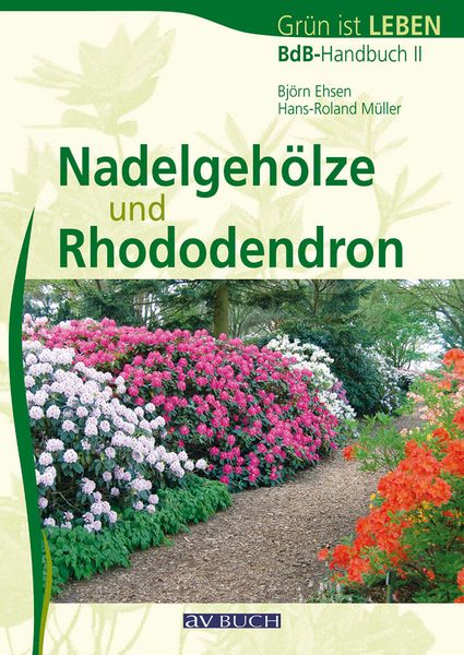 Nadelgehöze und Rhododendron