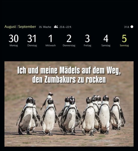 Produktbild: Animal Memes Postkartenkalender 2027 - 53 tierisch witzige Postkarten