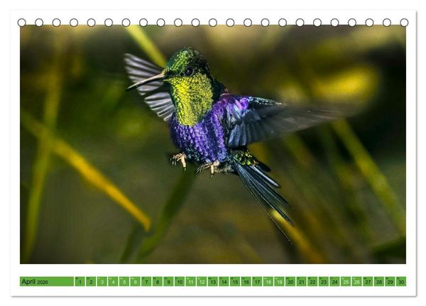 Produktbild: Kolibris; Anmut, Sch&ouml;nheit, Farben (Tischkalender 2026 DIN A5 quer), CALVENDO Monatskalender