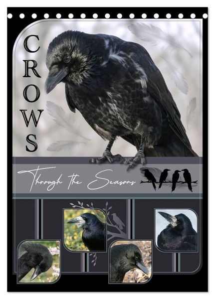Produktbild: Crows - Through the Seasons (Desk Calendar 2026 DIN A5 portrait), CALVENDO 12 Month DeskCalendar