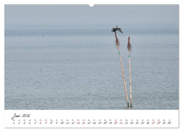 Produktbild: Naturpark Wattenmeer und Helgoland (Wandkalender 2026 DIN A2 quer), CALVENDO Monatskalender