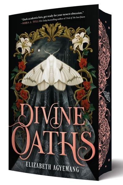 Produktbild: Divine Oaths (Special Limited Edition)