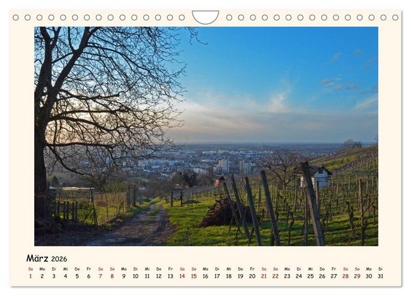 Produktbild: Weinlandschaft - Heppenheim an der Bergstra&szlig;e (Wandkalender 2026 DIN A4 quer), CALVENDO Monatskalender