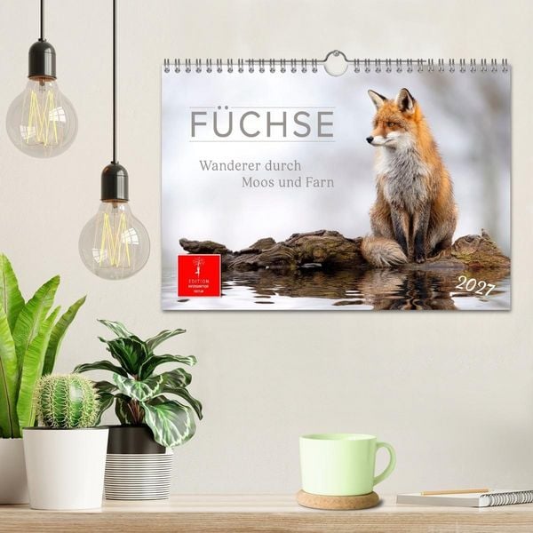 Produktbild: F&uuml;chse - Wanderer durch Moos und Farn (Wandkalender 2027 DIN A4 quer), CALVENDO Monatskalender