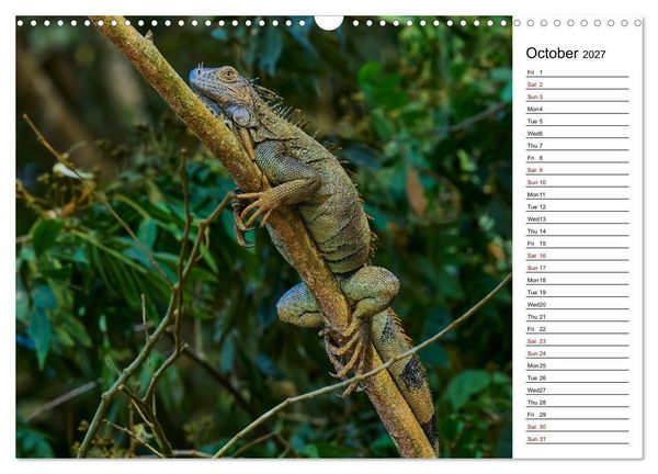 Produktbild: Feel the Wild &ndash; Costa Rica (Wall Calendar 2027 DIN A3 landscape), CALVENDO 12 Month Wall Calendar