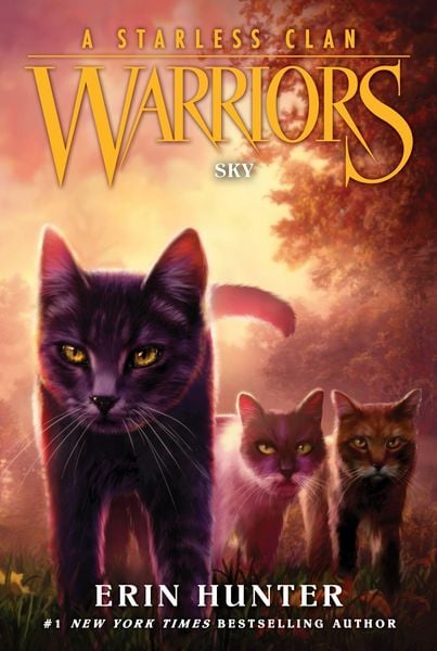 Produktbild: Warriors: A Starless Clan #2: Sky