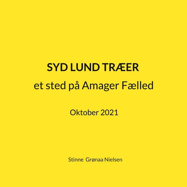 Produktbild: Syd Lund Tr&aelig;er
