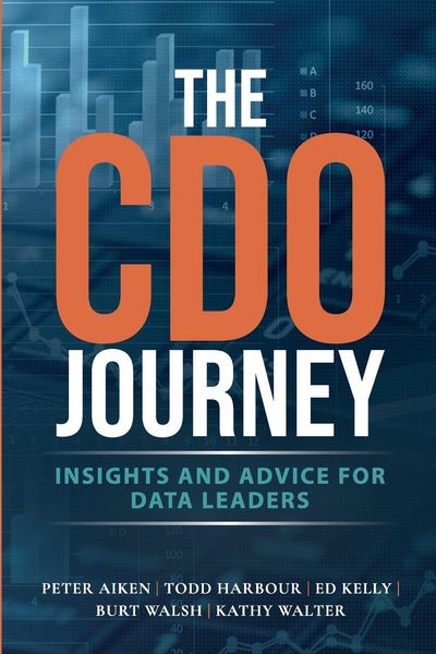 Produktbild: The CDO Journey