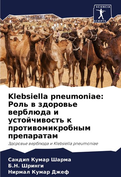 Produktbild: Klebsiella pneumoniae: Rol' w zdorow'e werbl&uuml;da i ustojchiwost' k protiwomikrobnym preparatam