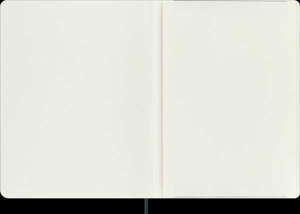 Produktbild: Moleskine Vegea Boa Notizbuch, XL, liniert, weicher Einband, gr&uuml;n, in Box