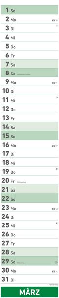 Superplaner 2026 - Streifenkalender 17x85 cm - mit Ringbindung - viel Platz für Notizen - Langplaner - Wandkalender - Küchenkalender - Alpha Edition