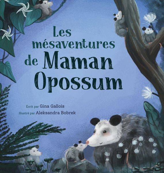 Produktbild: Les m&eacute;saventures de Maman Opossum