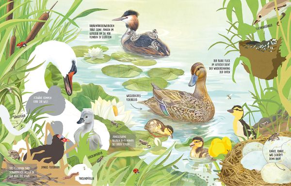 Was tummelt sich am Teich? von Jana Walczyk Buch Thalia