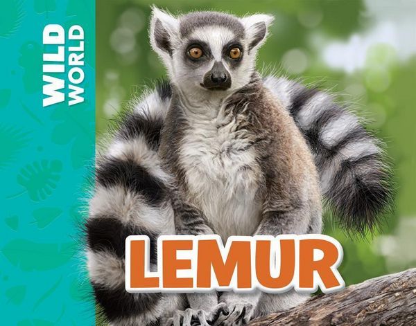 Produktbild: Lemur