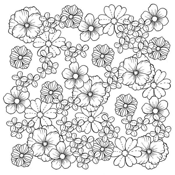 Produktbild: 333 Ausmalen &ndash;&nbsp;Wunder der Natur