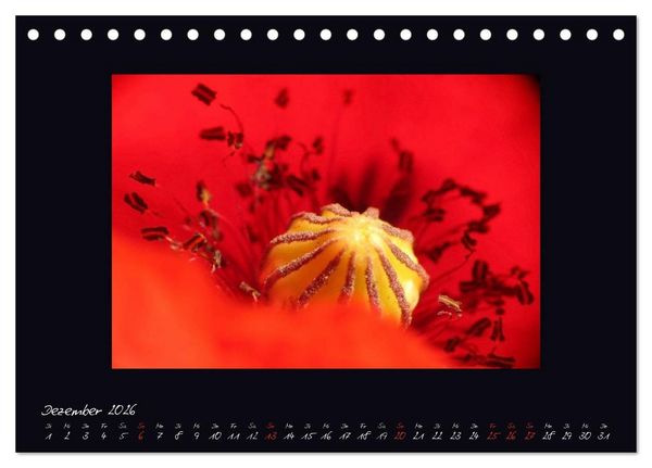 Produktbild: MOHNographie (Tischkalender 2026 DIN A5 quer), CALVENDO Monatskalender