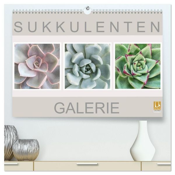 Produktbild: Sukkulenten Galerie (hochwertiger Premium Wandkalender 2027 DIN A2 quer), Kunstdruck in Hochglanz