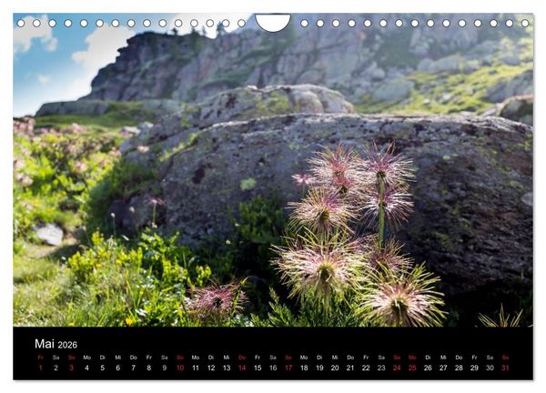 Produktbild: Grande Traversata delle Alpi - Wandern auf der GTA (Wandkalender 2026 DIN A4 quer), CALVENDO Monatskalender