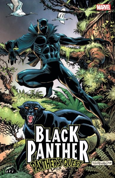 Produktbild: Mcgregor, D: Black Panther: Panther's Quest
