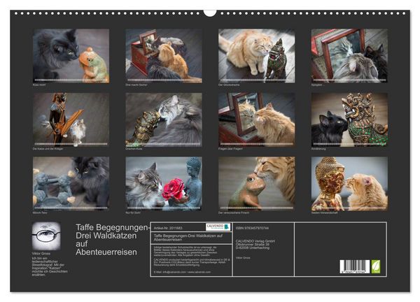 Produktbild: Taffe Begegnungen-Drei Waldkatzen auf Abenteuerreisen (Wandkalender 2026 DIN A2 quer), CALVENDO Monatskalender