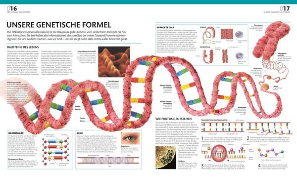 Produktbild: Anatomie und Physiologie