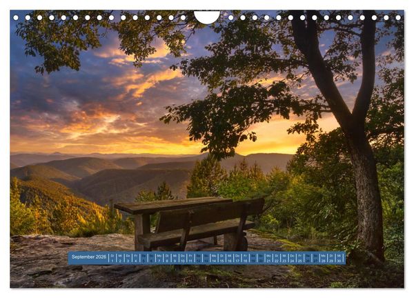 Produktbild: Magischer Pf&auml;lzer Wald (Wandkalender 2026 DIN A4 quer), CALVENDO Monatskalender