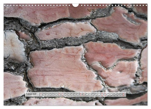 Produktbild: organische Strukturen Abstrakte Formen der Natur (Wandkalender 2026 DIN A3 quer), CALVENDO Monatskalender