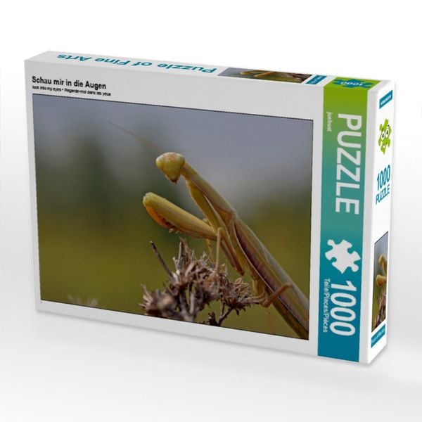 CALVENDO Puzzle Schau mir in die Augen | 1000 Teile Lege-Größe 64x48cm Foto-Puzzle für glückliche Stunden
