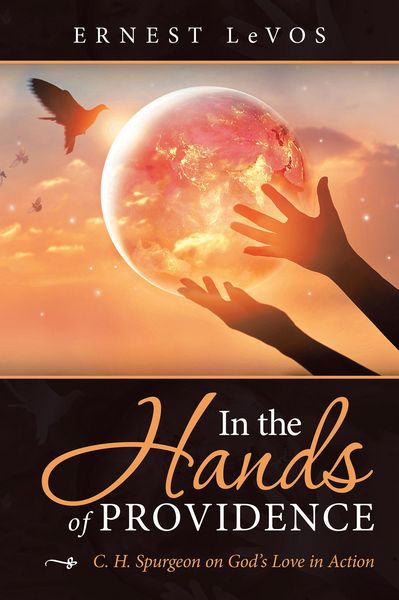 Produktbild: In the Hands of Providence