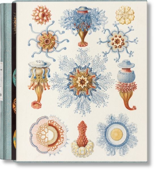 The Art and Science of Ernst Haeckel, Gebundene Ausgabe von Julia Voss,Rainer Willmann, Taschen, 978-3-7544-0610-6