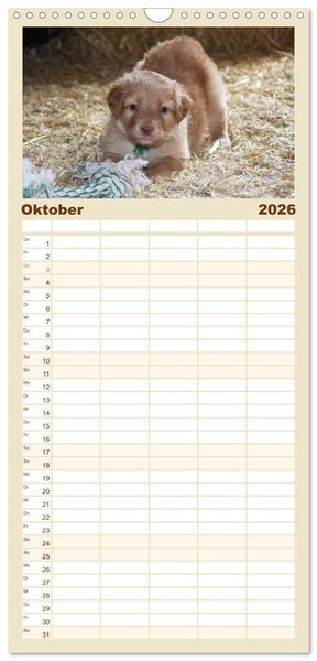 Produktbild: Familienplaner 2026 - Hovawarte - einmal anders mit 5 Spalten (Wandkalender, 21 x 45 cm) CALVENDO