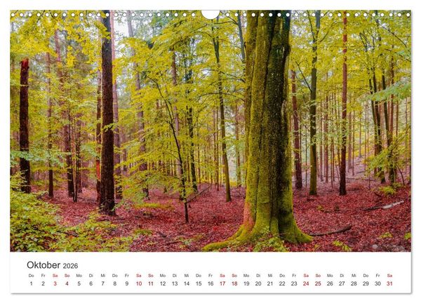Produktbild: DEUTSCHLAND, S&auml;chsische Schweiz Nationalpark, M&auml;rchenwald (Wandkalender 2026 DIN A3 quer), CALVENDO Monatskalender