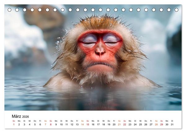 Produktbild: Tiere in ihrer Welt (Tischkalender 2026 DIN A5 quer), CALVENDO Monatskalender