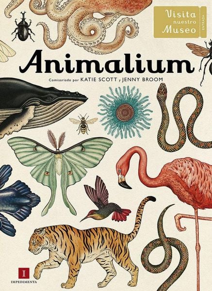 Produktbild: Animalium