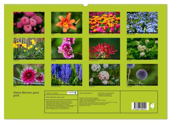 Produktbild: Kleine Blumen ganz gro&szlig; (hochwertiger Premium Wandkalender 2026 DIN A2 quer), Kunstdruck in Hochglanz