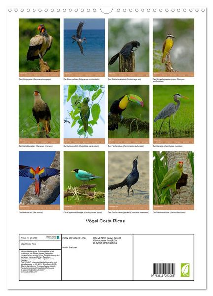 Produktbild: V&ouml;gel Costa Ricas (Wandkalender 2026 DIN A3 hoch), CALVENDO Monatskalender