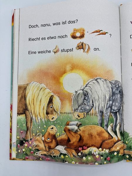 Produktbild: Pepe, das kleine Zauberpony