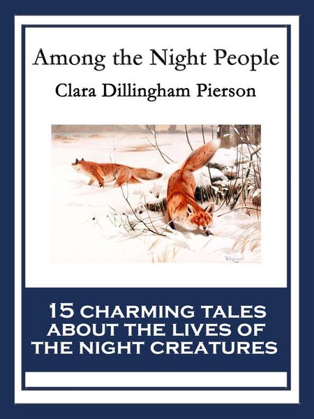 Produktbild: Among the Night People