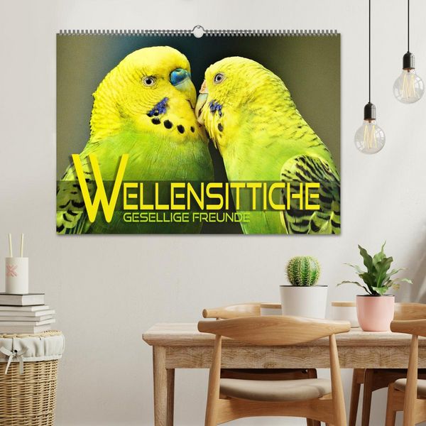 Produktbild: Wellensittiche - gesellige Freunde (Wandkalender 2026 DIN A2 quer), CALVENDO Monatskalender