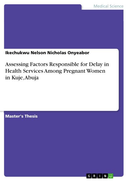 Produktbild: Assessing Factors Responsible for Delay in Health Services Among Pregnant Women in Kuje, Abuja