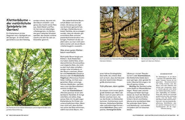 Produktbild: Kleine B&auml;ume f&uuml;r den Garten