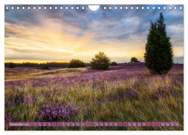 Produktbild: Romantische Heidebl&uuml;te (Wandkalender 2026 DIN A4 quer), CALVENDO Monatskalender