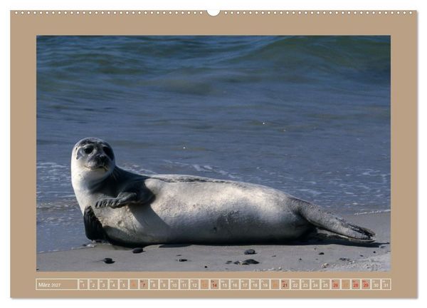 Produktbild: Helgoland,Deutschlands rote Felsen (Wandkalender 2027 DIN A2 quer), CALVENDO Monatskalender