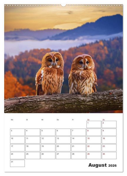 Produktbild: Eulen und K&auml;uze - Diese Wesen der Nacht (hochwertiger Premium Wandkalender 2026 DIN A2 hoch), Kunstdruck in Hochglanz