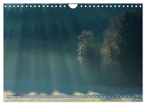 Produktbild: Spaziergang im Wald (Wandkalender 2026 DIN A4 quer), CALVENDO Monatskalender